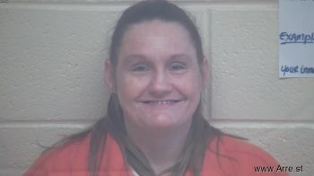 Amanda Lynn Vinson Mugshot