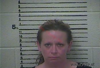 Amanda  Wells Mugshot