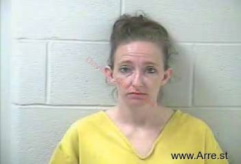 Amanda Joy Wells Mugshot