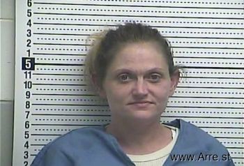 Amanda R Williams Mugshot