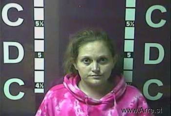 Amanda Renee Williams Mugshot