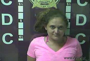 Amanda Renee Williams Mugshot