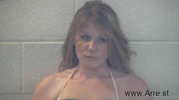 Amanda Lee Williams Mugshot