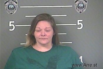 Amanda M Williams Mugshot