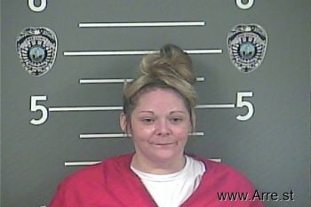 Amanda M Williams Mugshot