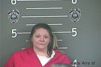 Amanda M Williams Mugshot