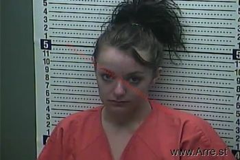 Amanda N Williams Mugshot