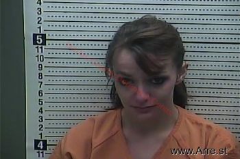 Amanda  Williams Mugshot