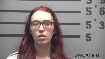 Amanda Shea Williams Mugshot