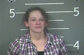 Amanda L Wolford Mugshot