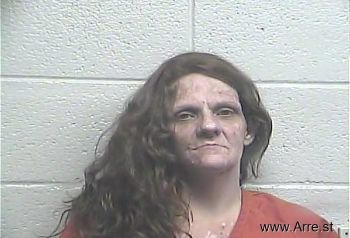 Amanda R Woods Mugshot