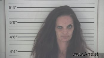 Amber Marie Anderson Mugshot