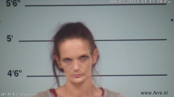 Amber  Anderson Mugshot