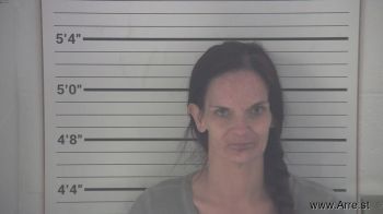 Amber Marie Anderson Mugshot