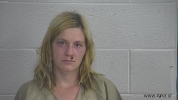 Amber  Anderson Mugshot