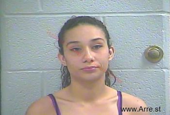 Amber Michell Berry Mugshot