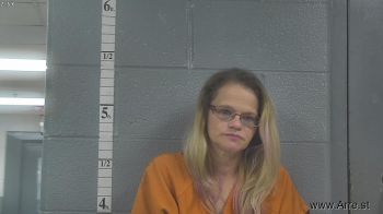 Amber Nichole Canaday Mugshot