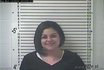 Amber Dawn Fox Mugshot