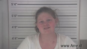 Amber Nicole Hollen Mugshot