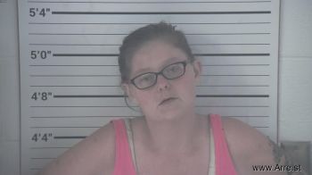 Amber Nicole Hollen Mugshot