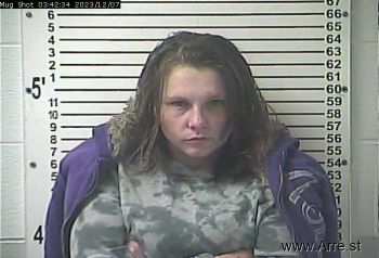 Amber Dawn Horton Mugshot