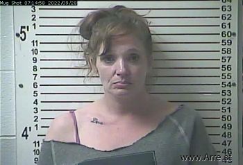 Amber Kenae Longhibler Mugshot