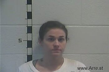 Amber Dawn Lovitt Mugshot