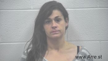 Amber Dawn Lovitt Mugshot