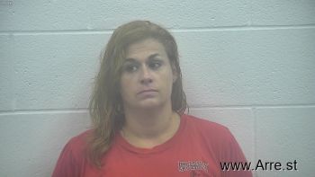 Amber Dawn Lovitt Mugshot