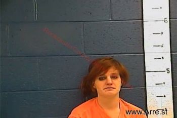 Amber Leeann Miller Mugshot