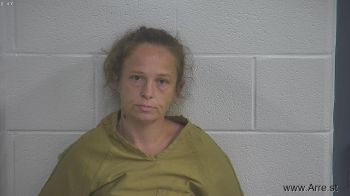 Amber Nicole Morgan Mugshot