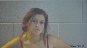 Amber Dawn Reece Mugshot