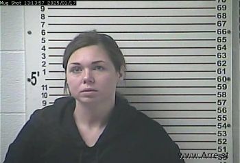 Amber Ann Sarles Mugshot