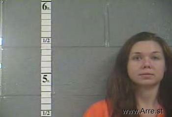 Amber Ann Sarles Mugshot