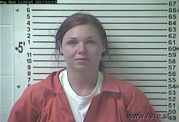 Amber Ann Sarles Mugshot