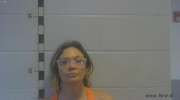 Amy Chatham Clark Mugshot