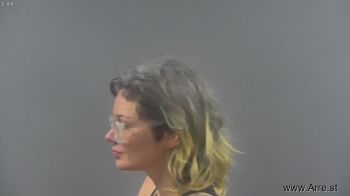 Amy Chatham Clark Mugshot