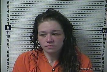 Amy Carol Cook Mugshot