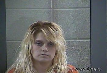 Amy Nicole Fultz Mugshot