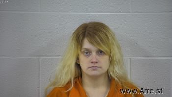 Amy N Fultz Mugshot