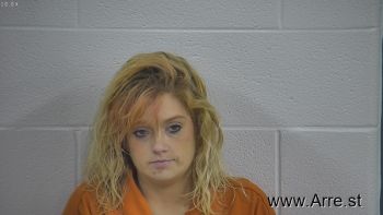 Amy N Fultz Mugshot