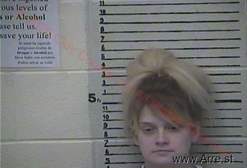 Amy  Fultz Mugshot