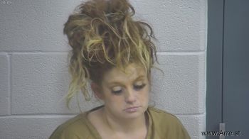 Amy  Fultz Mugshot