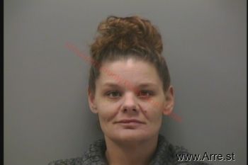 Amy Nicole Harrington Mugshot