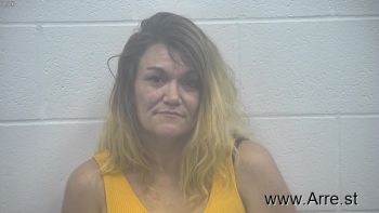 Amy Lynn Harris Mugshot