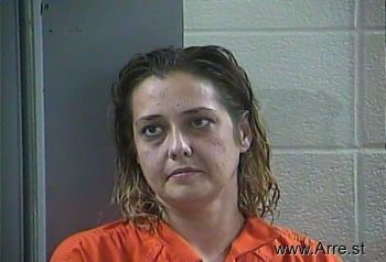 Amy Lynne Jones Mugshot