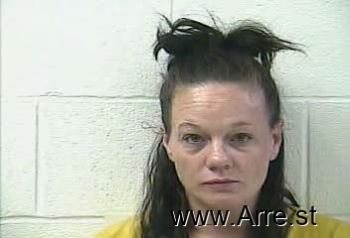 Amy Michelle Kessinger Mugshot