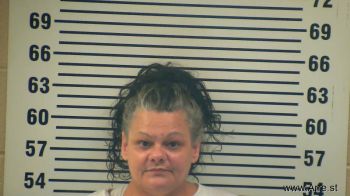 Amy D Payne Mugshot