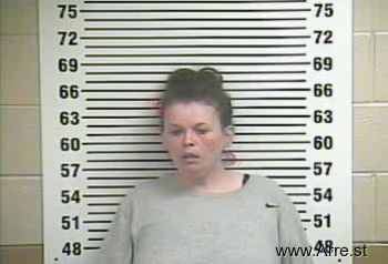 Amy Nicole Stinson Mugshot