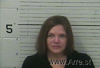 Amy Eileen Wells Mugshot